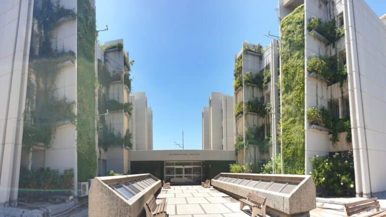 Závěry výzkumu vlivu vertikální zeleně