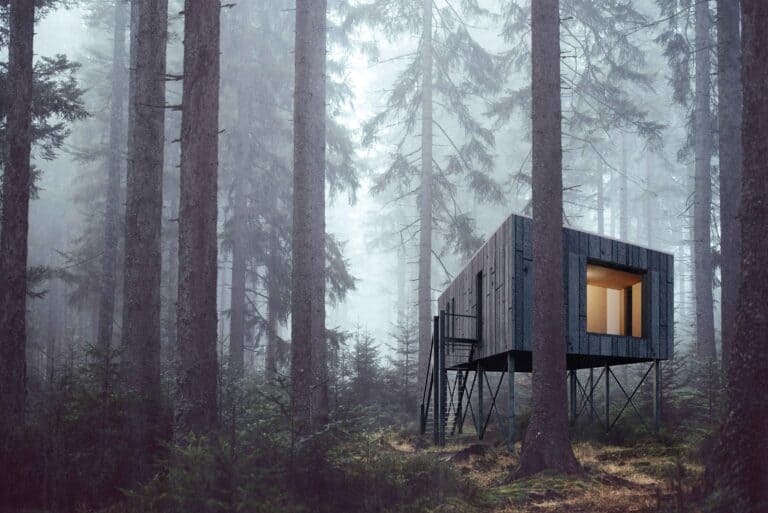 Stavby s vůní dřeva 2021